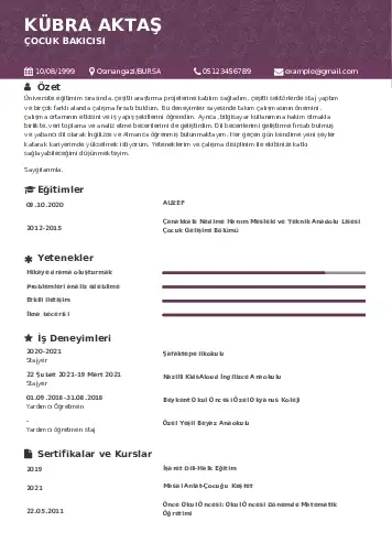 Çocuk Bakıcısı CV Örnekleri cv indir